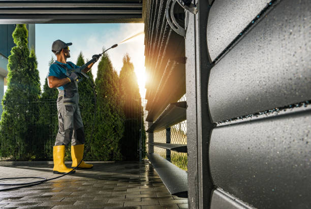 Animal Enclosure Cleaning in Dewitt, IA